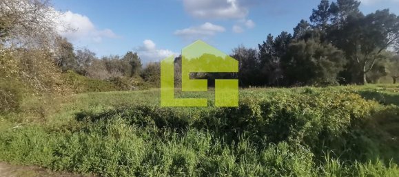 14000m² Land in Coimbra, Portugal No. 70945 8