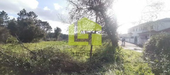 14000m² Land in Coimbra, Portugal No. 70945 10