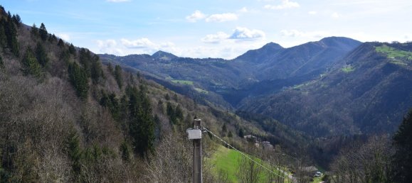 2-Zimmer Wohnung in Costa Serina, Italy, Nr. 69305 3