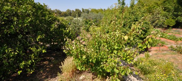 4 Schlafzimmer Haus in Casares, Spain, Nr. 38731 51