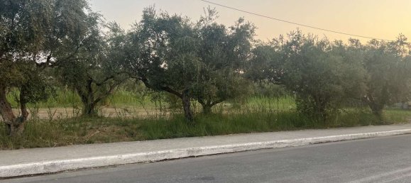Hotel in Zakynthos, Greece, Nr. 32186 2