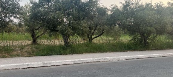 Hotel in Zakynthos, Greece, Nr. 32186 6