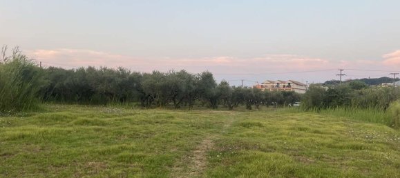 Hotel in Zakynthos, Greece, Nr. 32186 3