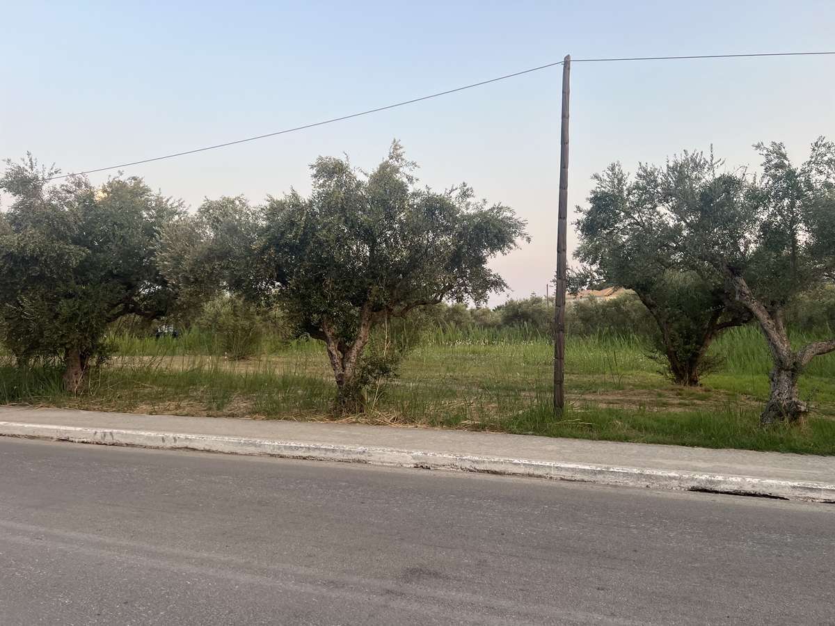 Hotel in Zakynthos, Greece, Nr. 32186