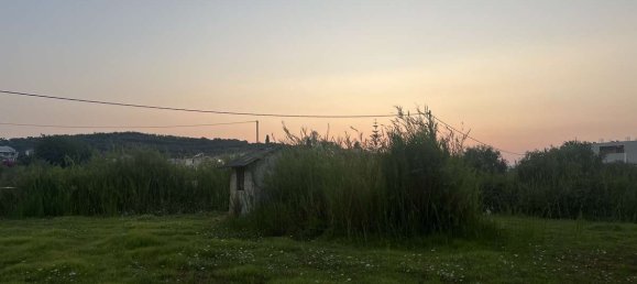 Hotel in Zakynthos, Greece, Nr. 32186 16