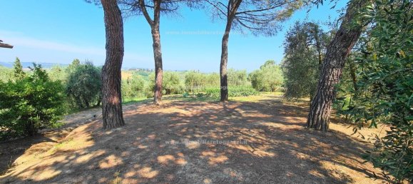 8 rooms Villa in Castelfiorentino, Italy No. 87167 6