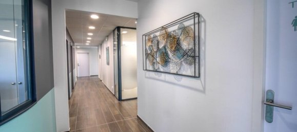 Gewerbliche Immobilie in Allex, France 480m², Nr. 275358 14