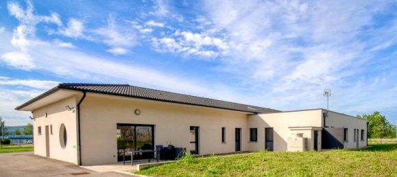 Gewerbliche Immobilie in Allex, France 480m², Nr. 275358 22