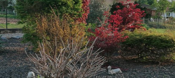 2 chambres Maison de ville à Rottal-Inn, Germany No. 217653 17