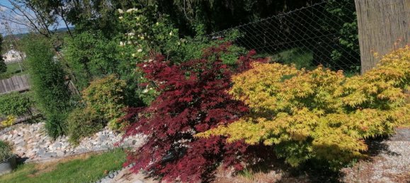 2 chambres Maison de ville à Rottal-Inn, Germany No. 217653 20