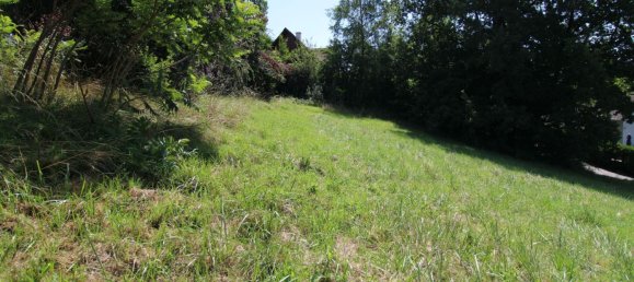 Terreno en Eggersdorf bei Graz, Austria No. 190977 4