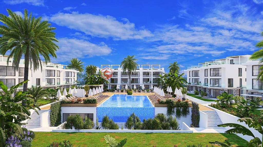 1 Schlafzimmer Wohnung, Nr. 11953