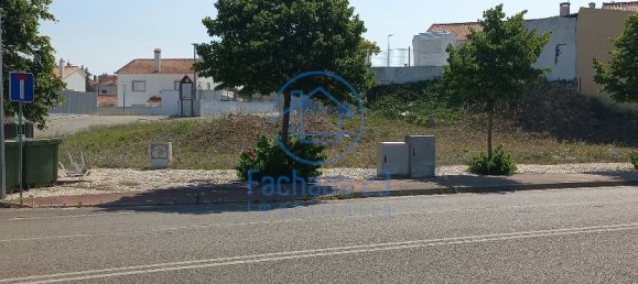  Land in Santarem, Portugal No. 90228 3