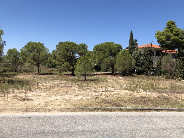 2835m² Land for sale in Chalkidiki, Central Macedonia, Macedonia and Thrace, Greece № 105143