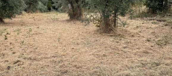 Apartamento T4 em Guardiagrele, Italy N.º 325592 17