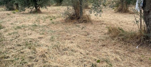 Apartamento T4 em Guardiagrele, Italy N.º 325592 18