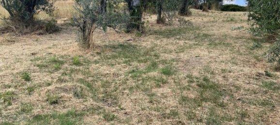 Apartamento T4 em Guardiagrele, Italy N.º 325592 16