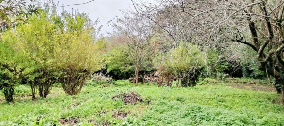 4 chambres Maison à A Coruna, Spain No. 49605 2