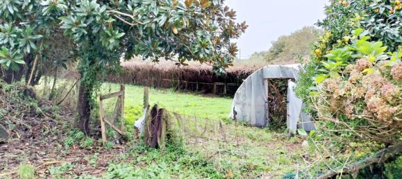 4 chambres Maison à A Coruna, Spain No. 49605 5