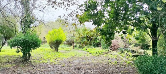 4 chambres Maison à A Coruna, Spain No. 49605 7