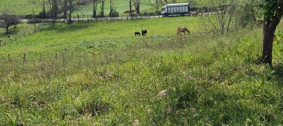 4 غرف نوم منزل في Pilona, Spain رقم 45658 19