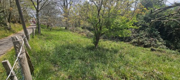 4 غرف نوم منزل في Pilona, Spain رقم 45658 20