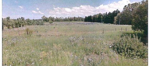 Terrain à Sardinia, Italy 23225m² No. 261006 2