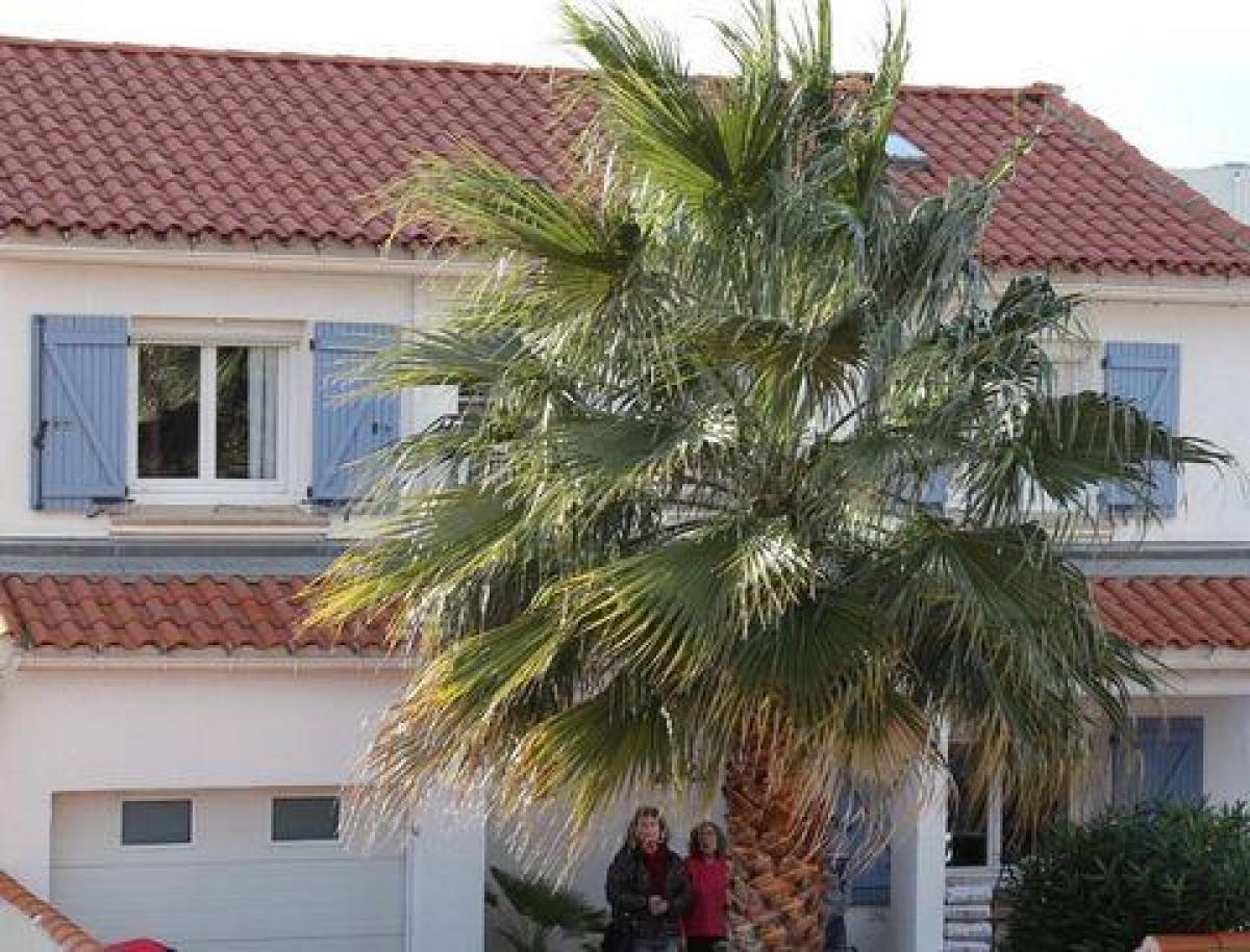 4 bedrooms House in Perpignan, France No. 32285