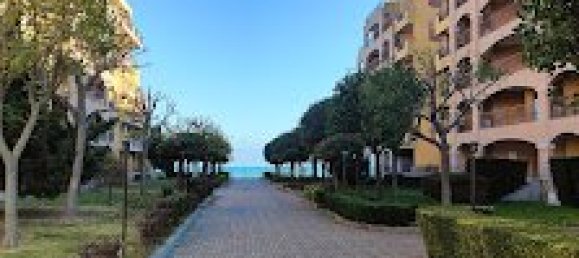 Квартира с 2 спальнями в Ахелой, Болгария № 1149 11