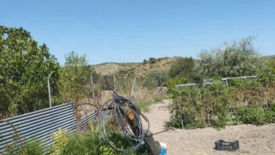 4100m² Land in Bullas, Spain No. 240453