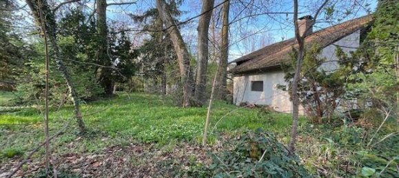 4-Zimmer Haus in Thalheim bei Wels, Austria, Nr. 156885 6