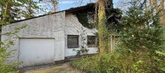 4-Zimmer Haus in Thalheim bei Wels, Austria, Nr. 156885 3