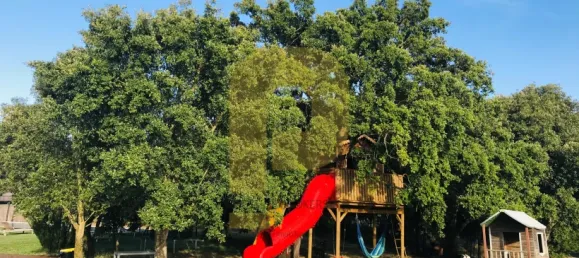 18 bedrooms Hotel in Sao Teotonio, Portugal No. 56449 28