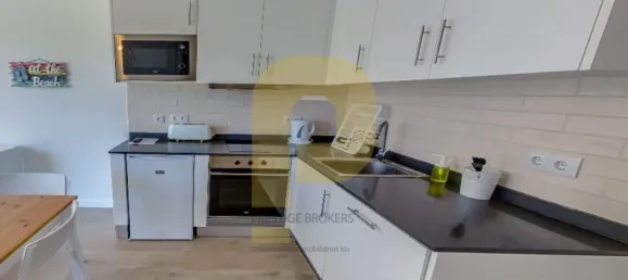 18 bedrooms Hotel in Sao Teotonio, Portugal No. 56449 40