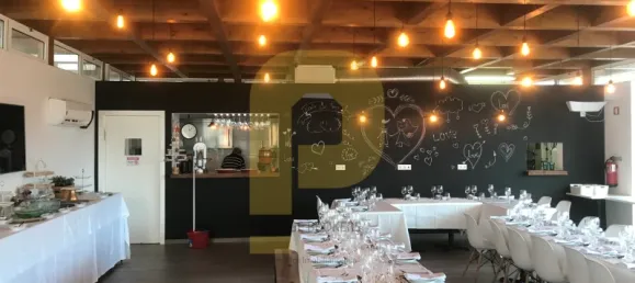 18 bedrooms Hotel in Sao Teotonio, Portugal No. 56449 13