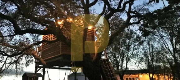 18 bedrooms Hotel in Sao Teotonio, Portugal No. 56449 32