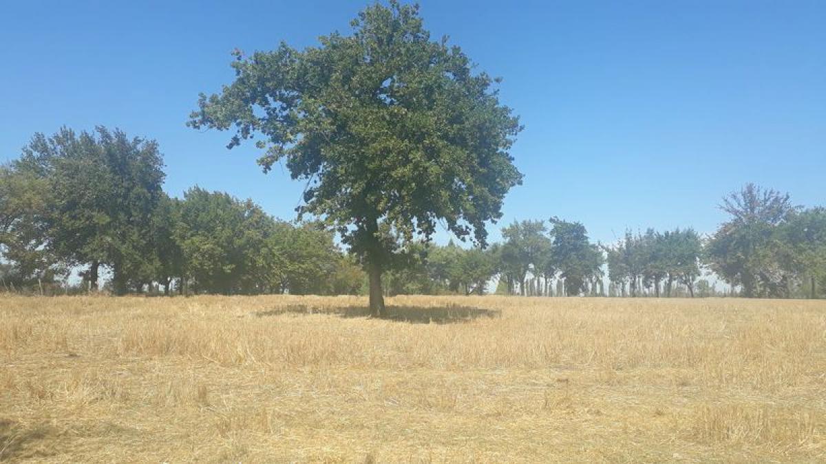 Terreno en Biobío, Chile No. 858