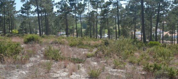 Grundstück in Grandola, Portugal 1000m², Nr. 140167 11