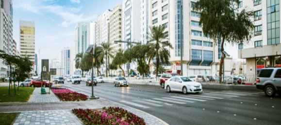 1602.6m² Land in Abu Dhabi, UAE No. 15950 4