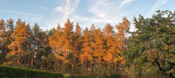 9-Zimmer Stadthaus in Teltow-Fläming, Germany, Nr. 238790 2