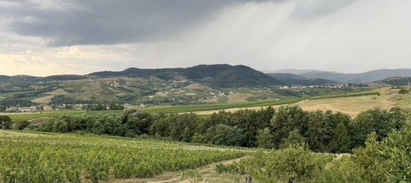 Коммерческая недвижимость 219м² в Одна, Франция № 1588 3