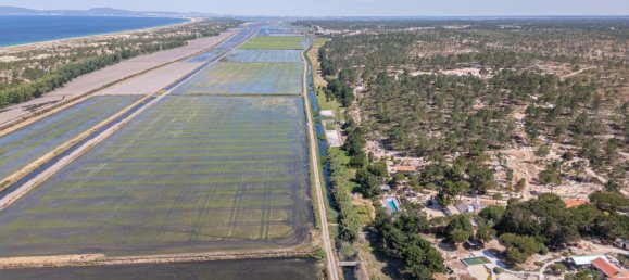  Land in Alcacer do Sal, Portugal No. 212575 29