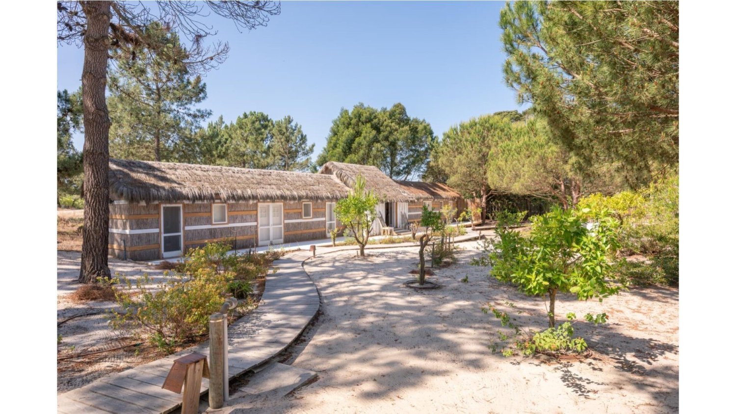  Land in Alcacer do Sal, Portugal No. 212575