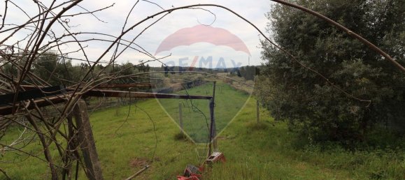 2 bedrooms House in Vinha da Rainha, Portugal No. 166245 18