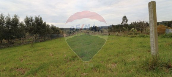 2 bedrooms House in Vinha da Rainha, Portugal No. 166245 13