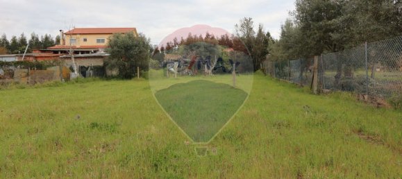 2 bedrooms House in Vinha da Rainha, Portugal No. 166245 15