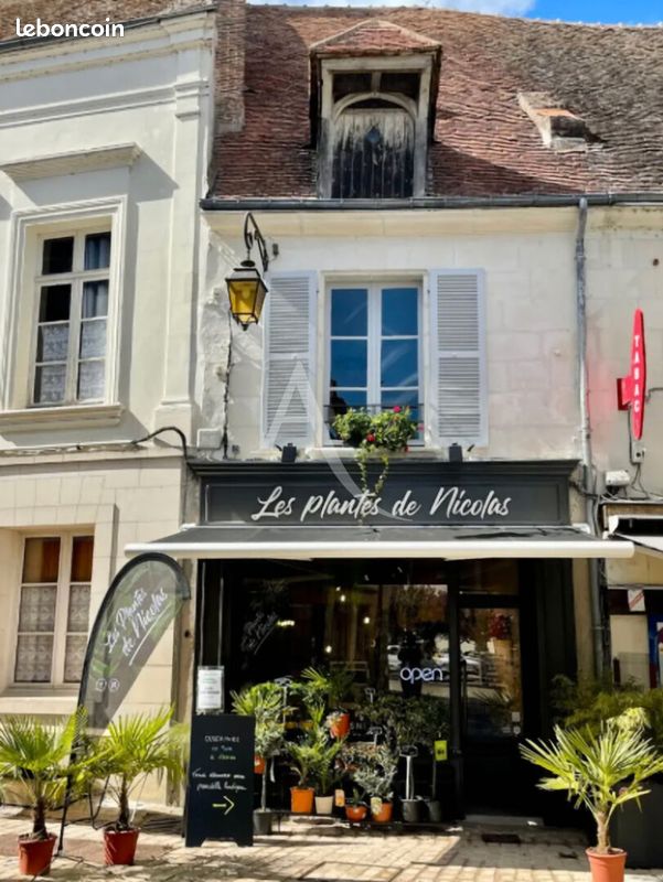Estacionamiento de 4 habitaciónes en Saint-Aignan, France No. 55666