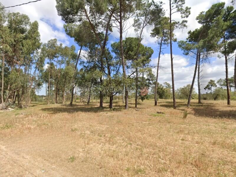 Terreno em Setúbal, Portugal 204 m² N.º 278811