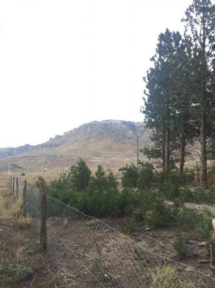  Land in Neuquen, Argentina No. 41230