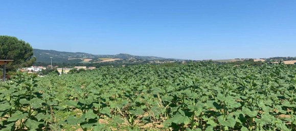 8163m² Land in Todi, Italy No. 162276 10
